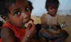 രാജ്യത്ത് കുട്ടികളില് പോഷകാഹാരക്കുറവും അമിതവണ്ണവും വര്ദ്ധിക്കുന്നതായി പഠനം രാജ്യത്ത് കുട്ടികളില് പോഷകാഹാരക്കുറവും അമിതവണ്ണവും വര്ദ്ധിക്കുന്നതായി പഠനം