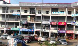 ഇടതിനെ കൈവിടാതെ പെരിന്തല്‍മണ്ണ