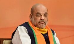 അമിത്ഷായെ പന്ന പ്രമുഖ് ആയി നിയമിച്ചു