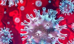 52 പേര്ക്ക് കൊവിഡ്: ഹിമാചലില് രാത്രി കര്ഫ്യൂവില് ഇളവ് 52 പേര്ക്ക് കൊവിഡ്: ഹിമാചലില് രാത്രി കര്ഫ്യൂവില് ഇളവ്