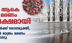 ലോകത്ത് ആകെ കൊവിഡ് മരണം 16.68 ലക്ഷമായി; 5.28 കോടി പേര്ക്ക് രോഗമുക്തി, അമേരിക്കയില് മാത്രം മരണം മൂന്നുലക്ഷം കടന്നു ലോകത്ത് ആകെ കൊവിഡ് മരണം 16.68 ലക്ഷമായി; 5.28 കോടി പേര്ക്ക് രോഗമുക്തി, അമേരിക്കയില് മാത്രം മരണം മൂന്നുലക്ഷം കടന്നു