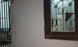 തിക്കോടിയില്‍ വീടിനു നേരെ ആക്രമണം