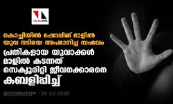 കൊച്ചിയില്‍ ഷോപ്പിംഗ് മാളില്‍ യുവ നടിയെ അപമാനിച്ച സംഭവം: പ്രതികളായ യുവാക്കള്‍ മാളില്‍ കടന്നത് സെക്യൂരിറ്റി ജീവനക്കാരനെ കബളിപ്പിച്ച്