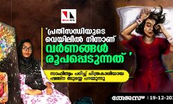  പ്രതിസന്ധിയുടെ വെയിലില്‍ നിന്നാണ് വര്‍ണങ്ങള്‍ രൂപപ്പെടുന്നത് : സാഹിത്യം പഠിച്ച് ചിത്രകാരിയായ ഷബ്‌ന സുമയ്യ പറയുന്നു