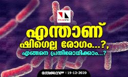 എന്താണ് ഷിഗെല്ല രോഗം...?, എങ്ങനെ പ്രതിരോധിക്കാം...?