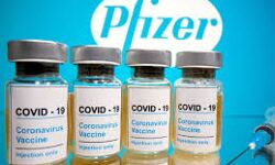 ഖത്തറില് ഡിസംബര് 21ന് കൊവിഡ് വാക്സിനെത്തും; പ്രവാസികള്ക്കും വാക്സിന് സൗജന്യമായി ലഭിക്കും ഖത്തറില് ഡിസംബര് 21ന് കൊവിഡ് വാക്സിനെത്തും; പ്രവാസികള്ക്കും വാക്സിന് സൗജന്യമായി ലഭിക്കും