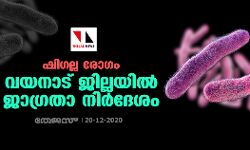 ഷിഗല്ല രോഗം: വയനാട് ജില്ലയില്‍ ജാഗ്രതാ നിർദേശം