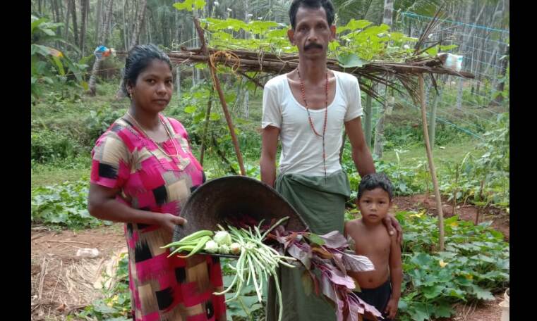 കുട്ടികളില്‍ പോഷകാഹാരം ഉറപ്പാക്കുന്നതിന് കെ വി കെയുടെ പോഷകാഹാരത്തോട്ടം പദ്ധതി