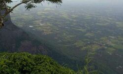 നെല്ലിയാമ്പതിയില് കൊക്കയില് വീണ യുവാവിന്റെ മൃതദേഹം കണ്ടെത്തി നെല്ലിയാമ്പതിയില് കൊക്കയില് വീണ യുവാവിന്റെ മൃതദേഹം കണ്ടെത്തി