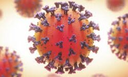 വയനാട് ജില്ലയില്‍ 65 പേര്‍ക്ക് കൂടി കോവിഡ്; 120 പേര്‍ക്ക് രോഗമുക്തി