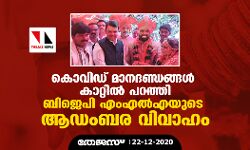 കൊവിഡ് മാനദണ്ഡങ്ങള്‍ കാറ്റില്‍ പറത്തി ബിജെപി എംഎല്‍എയുടെ ആഡംബര വിവാഹം