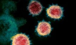 เดเตเดตเดฟเดกเต 19: เดฎเดฒเดชเตเดชเตเดฑเด เดเดฟเดฒเตเดฒเดฏเดฟเดฒเตโ 565 เดชเตเดฐเตโเดเตเดเต เดฐเตเดเดฌเดพเดง; 709 เดชเตเดฐเตโเดเตเดเต เดฐเตเดเดฎเตเดเตเดคเดฟ เดเตเดตเดฟเดกเต 19: เดฎเดฒเดชเตเดชเตเดฑเด เดเดฟเดฒเตเดฒเดฏเดฟเดฒเตโ 565 เดชเตเดฐเตโเดเตเดเต เดฐเตเดเดฌเดพเดง; 709 เดชเตเดฐเตโเดเตเดเต เดฐเตเดเดฎเตเดเตเดคเดฟ