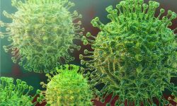 ജനിതകമാറ്റം സംഭവിച്ച നാല് കൊവിഡ് രോഗികള്‍ ഒമാനില്‍