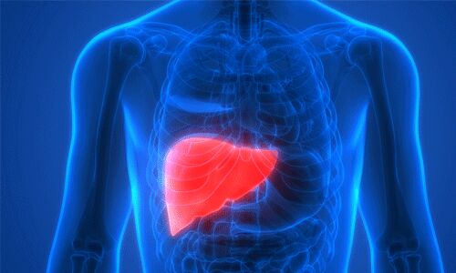 കരളിലെ അര്‍ബുദം:    അന്‍പത്തിമൂന്നുകാരനെ ജീവിതത്തിലേക്ക് കൈപിടിച്ച് കിംസ് ഹെല്‍ത്ത്