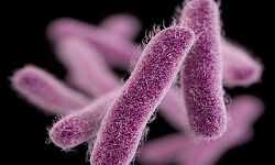 เดเตเดดเดฟเดเตเดเตเดเตเดเต เดทเดฟเดเดฒเตเดฒ เดฐเตเดเดฌเดพเดง: เดเดฑเดตเดฟเดเด เดเดฃเตเดเตเดคเตเดคเดพเดจเตโ เดตเดฟเดฆเดเตเดง เดธเดฎเดฟเดคเดฟ เดธเดฐเตโเดตเต เดเดฐเดเดญเดฟเดเตเดเต เดเตเดดเดฟเดเตเดเตเดเตเดเต เดทเดฟเดเดฒเตเดฒ เดฐเตเดเดฌเดพเดง: เดเดฑเดตเดฟเดเด เดเดฃเตเดเตเดคเตเดคเดพเดจเตโ เดตเดฟเดฆเดเตเดง เดธเดฎเดฟเดคเดฟ เดธเดฐเตโเดตเต เดเดฐเดเดญเดฟเดเตเดเต