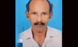 തെരുവ് നായ്ക്കളുടെ കടിയേറ്റ് വയോധികന്‍ മരിച്ചു