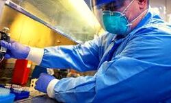 เดฌเตเดฐเดฟเดเตเดเดจเดฟเดฒเตโ เดเดจเดฟเดคเด เดฎเดพเดฑเตเดฑเด เดธเดเดญเดตเดฟเดเตเด เดฎเตเดจเตเดจเดพเดฎเดคเต เดเตเดตเดฟเดกเต เดตเตเดฑเดธเต เดเตเดเดฟ เดเดฃเตเดเตเดคเตเดคเดฟเดฏเดคเดพเดฏเดฟ เดฑเดฟเดชเตเดฐเตโเดเตเดเต เดฌเตเดฐเดฟเดเตเดเดจเดฟเดฒเตโ เดเดจเดฟเดคเด เดฎเดพเดฑเตเดฑเด เดธเดเดญเดตเดฟเดเตเด เดฎเตเดจเตเดจเดพเดฎเดคเต เดเตเดตเดฟเดกเต เดตเตเดฑเดธเต เดเตเดเดฟ เดเดฃเตเดเตเดคเตเดคเดฟเดฏเดคเดพเดฏเดฟ เดฑเดฟเดชเตเดฐเตโเดเตเดเต