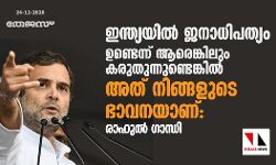 ഇന്ത്യയില്‍ ജനാധിപത്യം ഉണ്ടെന്ന് ആരെങ്കിലും കരുതുന്നുണ്ടെങ്കില്‍ അത് നിങ്ങളുടെ ഭാവനയാണ്: രാഹുല്‍ ഗാന്ധി