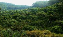 เดฎเตเดจเตเดจเตเดชเดคเดฟเดฑเตเดฑเดพเดฃเตเดเดฟเดจเตเดเตเดตเดฟเดฒเตโ เดเดฆเดฟเดตเดพเดธเดฟเดเดณเตโเดเตเดเต เดญเตเดฎเดฟเดเตเดเต เด
เดตเดเดพเดถเด เดฎเตเดจเตเดจเตเดชเดคเดฟเดฑเตเดฑเดพเดฃเตเดเดฟเดจเตเดเตเดตเดฟเดฒเตโ เดเดฆเดฟเดตเดพเดธเดฟเดเดณเตโเดเตเดเต เดญเตเดฎเดฟเดเตเดเต เด
เดตเดเดพเดถเด