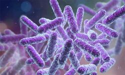 เดเตเดดเดฟเดเตเดเตเดเต เด
เดเตเดเต เดเดฟเดฃเดฑเตเดเดณเตโ เดชเดฐเดฟเดถเตเดงเดฟเดเตเดเต; เดฐเดฃเตเดเตเดฃเตเดฃเดคเตเดคเดฟเดฒเตโ เดทเดฟเดเตเดฒเตเดฒ เดธเดพเดจเตเดจเดฟเดงเตเดฏเด เดเตเดดเดฟเดเตเดเตเดเต เด
เดเตเดเต เดเดฟเดฃเดฑเตเดเดณเตโ เดชเดฐเดฟเดถเตเดงเดฟเดเตเดเต; เดฐเดฃเตเดเตเดฃเตเดฃเดคเตเดคเดฟเดฒเตโ เดทเดฟเดเตเดฒเตเดฒ เดธเดพเดจเตเดจเดฟเดงเตเดฏเด