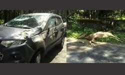 เดเตเดคเดฎเดเดเดฒเดคเตเดคเต เดเดพเดฑเดฟเดเดฟเดเตเดเต เดฎเตเดฒเดพเดตเต เดเดคเตเดคเต; เดเดพเดฐเตโ เดฏเดพเดคเตเดฐเดฟเดเดจเต เดชเดฐเดฟเดเตเดเต เดเตเดคเดฎเดเดเดฒเดคเตเดคเต เดเดพเดฑเดฟเดเดฟเดเตเดเต เดฎเตเดฒเดพเดตเต เดเดคเตเดคเต; เดเดพเดฐเตโ เดฏเดพเดคเตเดฐเดฟเดเดจเต เดชเดฐเดฟเดเตเดเต