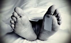 ഓണ്‍ലൈന്‍ പരീക്ഷ നഷ്ടപ്പെടുത്തിയതിന് പിതാവ് ശകാരിച്ചു; പ്ലസ്‌വണ്‍ വിദ്യാര്‍ഥി സ്വയം വെടിവച്ച് മരിച്ചു