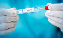 ട്രിപ്പിള് സീറോ ക്യാംപയിന്: അധ്യാപകര്ക്ക് കൊവിഡ് പരിശോധന ട്രിപ്പിള് സീറോ ക്യാംപയിന്: അധ്യാപകര്ക്ക് കൊവിഡ് പരിശോധന