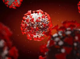 ആലപ്പുഴ ജില്ലയില് 231 പേര്ക്ക് കൊവിഡ് ആലപ്പുഴ ജില്ലയില് 231 പേര്ക്ക് കൊവിഡ്