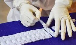 കൊവിഡ് 19: മലപ്പുറം ജില്ലയില് 517 പേര്ക്ക് രോഗബാധ; 503 പേര്ക്ക് രോഗമുക്തി കൊവിഡ് 19: മലപ്പുറം ജില്ലയില് 517 പേര്ക്ക് രോഗബാധ; 503 പേര്ക്ക് രോഗമുക്തി