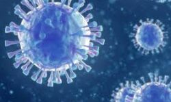 എറണാകുളം ജില്ലയില് ഇന്ന് 605 പേര്ക്ക് കൊവിഡ് എറണാകുളം ജില്ലയില് ഇന്ന് 605 പേര്ക്ക് കൊവിഡ്