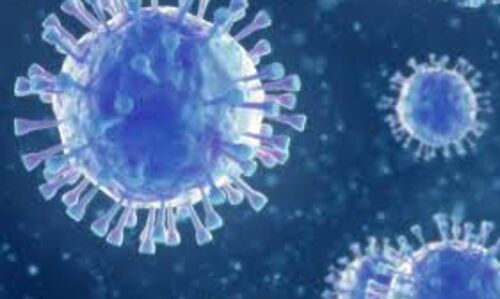 എറണാകുളം ജില്ലയില് ഇന്ന് 605 പേര്ക്ക് കൊവിഡ് എറണാകുളം ജില്ലയില് ഇന്ന് 605 പേര്ക്ക് കൊവിഡ്