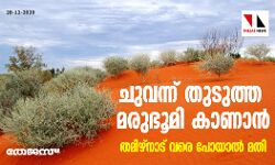 ചുവന്ന് തുടുത്ത മരുഭൂമി കാണാൻ തമിഴ്നാട് വരെ പോയാൽ മതി