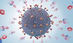 കോഴിക്കോട് ജില്ലയില് 507 പേര്ക്ക് കൊവിഡ്; 645 പേര്ക്ക് രോഗമുക്തി കോഴിക്കോട് ജില്ലയില് 507 പേര്ക്ക് കൊവിഡ്; 645 പേര്ക്ക് രോഗമുക്തി