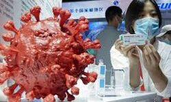 തിരുവനന്തപുരം 414 പേര്ക്കു കൂടി കൊവിഡ് സ്ഥിരീകരിച്ചു; 375 പേര്ക്ക് രോഗമുക്തി തിരുവനന്തപുരം 414 പേര്ക്കു കൂടി കൊവിഡ് സ്ഥിരീകരിച്ചു; 375 പേര്ക്ക് രോഗമുക്തി