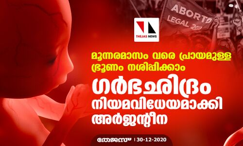 മൂന്നരമാസം വരെ പ്രായമുള്ള ഭ്രൂണം നശിപ്പിക്കാം; ഗര്‍ഭഛിദ്രം നിയമവിധേയമാക്കി അര്‍ജന്റീന