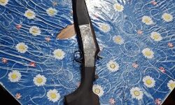 നാടന്‍ തോക്കുമായി രണ്ടു പേര്‍ പിടിയില്‍