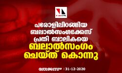 പരോളിലിറങ്ങിയ ബലാല്‍സംഗക്കേസ് പ്രതി ബാലികയെ ബലാല്‍സംഗം ചെയ്ത് കൊന്നു