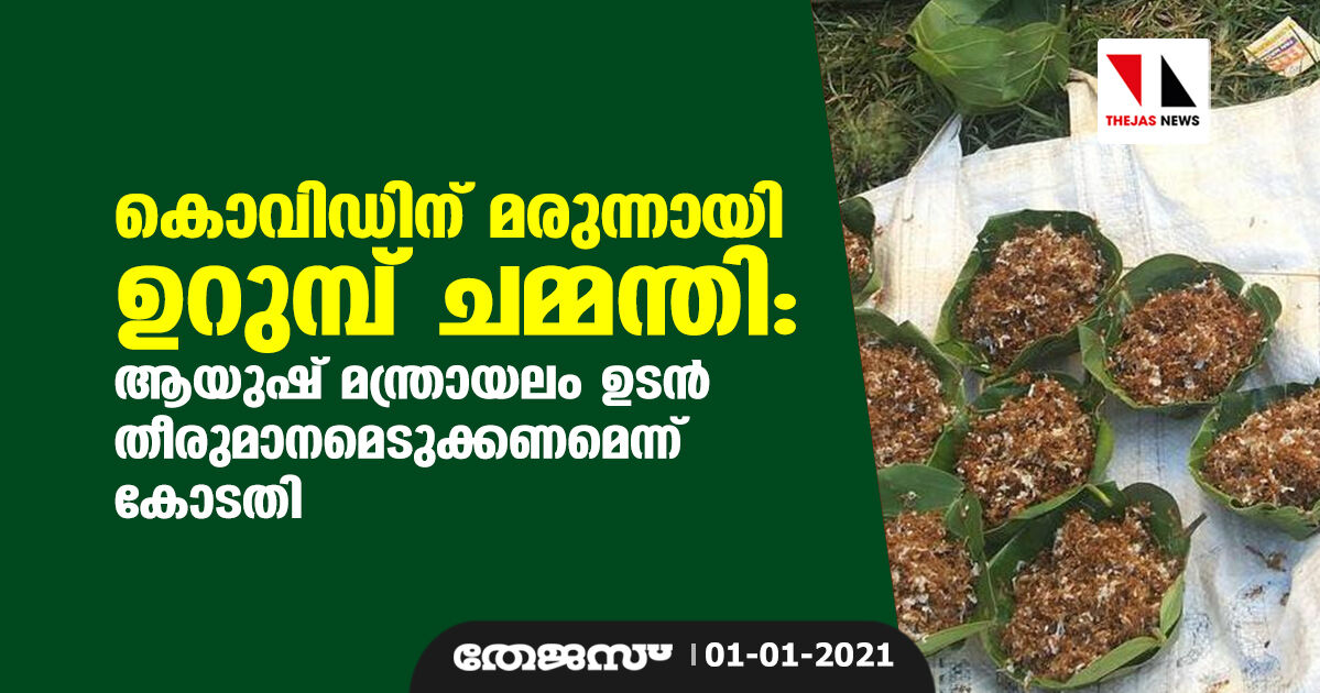 കൊവിഡിന് മരുന്നായി ഉറുമ്പ് ചമ്മന്തി: ആയുഷ് മന്ത്രായലം ഉടന് തീരുമാനമെടുക്കണമെന്ന് കോടതി കൊവിഡിന് മരുന്നായി ഉറുമ്പ് ചമ്മന്തി: ആയുഷ് മന്ത്രായലം ഉടന് തീരുമാനമെടുക്കണമെന്ന് കോടതി