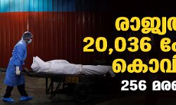 เดฐเดพเดเตเดฏเดคเตเดคเต 20,036 เดชเตเดฐเตโเดเตเดเต เดเตเดตเดฟเดกเต; 256 เดฎเดฐเดฃเด เดฐเดพเดเตเดฏเดคเตเดคเต 20,036 เดชเตเดฐเตโเดเตเดเต เดเตเดตเดฟเดกเต; 256 เดฎเดฐเดฃเด