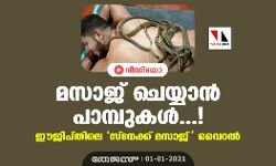 മസാജ് ചെയ്യാന്‍ പാമ്പുകള്‍...!; ഈജിപ്തിലെ സ്‌നേക്ക് മസാജ് വൈറല്‍(വീഡിയോ)