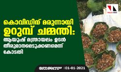 കൊവിഡിന് മരുന്നായി ഉറുമ്പ് ചമ്മന്തി: ആയുഷ് മന്ത്രായലം ഉടന്‍ തീരുമാനമെടുക്കണമെന്ന് കോടതി