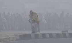 ഡല്‍ഹിയില്‍ കൊടും തണുപ്പ്; താപനില 1.1 ഡിഗ്രി സെല്‍ഷ്യസ്