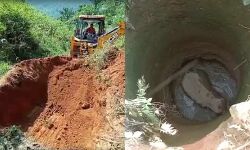 ആനക്കാംപൊയിലില്‍ കിണറ്റില്‍ വീണ കാട്ടാനയെ രക്ഷപ്പെടുത്തി