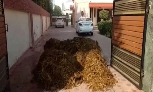 പഞ്ചാബില്‍ ബിജെപി നേതാവിന്റെ വീടിന് മുന്നില്‍ ചാണകം നിക്ഷേപിച്ചു