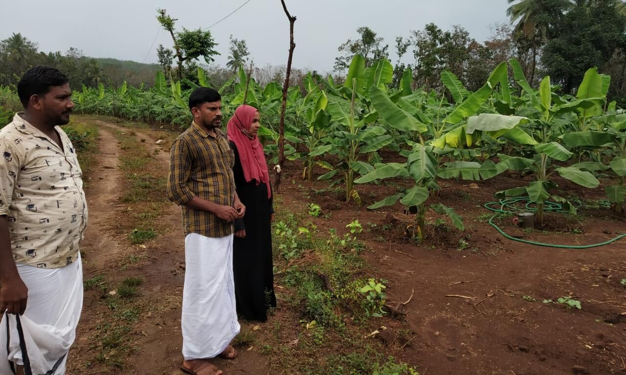 കാപ്പുംകടവ്, കൂടലാട് മേഖലയില് കാട്ടാനശല്യം രൂക്ഷം; വനംവകുപ്പ് നിസ്സംഗത വെടിയണം: എസ് ഡിപിഐ കാപ്പുംകടവ്, കൂടലാട് മേഖലയില് കാട്ടാനശല്യം രൂക്ഷം; വനംവകുപ്പ് നിസ്സംഗത വെടിയണം: എസ് ഡിപിഐ