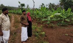 เดเดพเดชเตเดชเตเดเดเดเดตเต, เดเตเดเดฒเดพเดเต เดฎเตเดเดฒเดฏเดฟเดฒเตโ เดเดพเดเตเดเดพเดจเดถเดฒเตเดฏเด เดฐเตเดเตเดทเด; เดตเดจเดเดตเดเตเดชเตเดชเต เดจเดฟเดธเตเดธเดเดเดค เดตเตเดเดฟเดฏเดฃเด: เดเดธเต เดกเดฟเดชเดฟเด เดเดพเดชเตเดชเตเดเดเดเดตเต, เดเตเดเดฒเดพเดเต เดฎเตเดเดฒเดฏเดฟเดฒเตโ เดเดพเดเตเดเดพเดจเดถเดฒเตเดฏเด เดฐเตเดเตเดทเด; เดตเดจเดเดตเดเตเดชเตเดชเต เดจเดฟเดธเตเดธเดเดเดค เดตเตเดเดฟเดฏเดฃเด: เดเดธเต เดกเดฟเดชเดฟเด