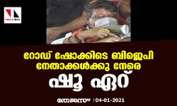 റോഡ് ഷോക്കിടെ ബിജെപി നേതാക്കള്‍ക്കു നേരെ ഷൂ ഏറ്