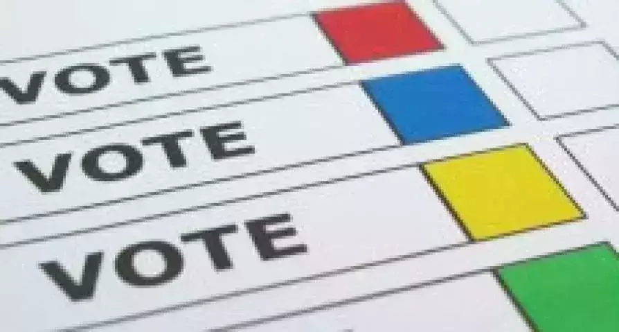 പ്രവാസികള്‍ക്ക് ഇ തപാല്‍ വോട്ടിന് കേന്ദ്രാനുമതി