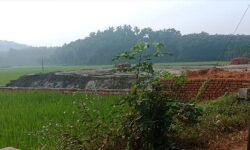 ഊര്‍ങ്ങാട്ടീരി തെരട്ടമ്മലില്‍ വയല്‍ നികത്തല്‍: തഹസില്‍ദാര്‍ റിപോര്‍ട്ട് തേടി