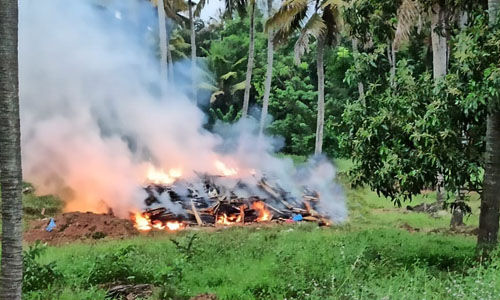 പക്ഷിപ്പനി: കേന്ദ്രസംഘം ഇന്ന് കേരളത്തിലെത്തും